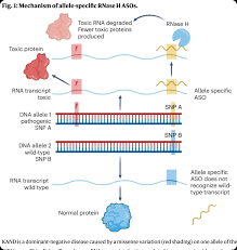 子夜星河– IN LEARNING WE TRUST