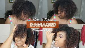 Aphogee products | healthy hair growth for relaxed & natural hair no big chop needed. How I Recover From Damaged Natural Hair Aphogee Two Step Protein Treatment Youtube