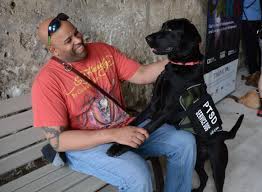This work requires specialized knowledge and skills three parts: Service Dogs 101 Everything You Need To Know About Service Dogs