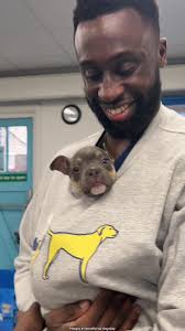 Give your puper a hug from me please 🫶🏾🥹 Happy international dog day