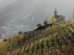 1 chambre dans appartementchambre dans un appartement , 2ème étage, calme, vue sur les vignes. La Petite Chapelle St Christophe Tain L Hermitage 26 Drome France France Hermitage France Europe