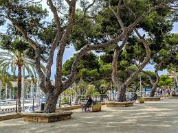 We did not find results for: á… Urlaub In Porto Cristo Sehenswurdigkeiten Strande Ferienhauser