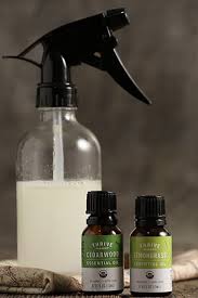 Why use pest control that is toxic for you and your family? Keep Pests Away With Our Diy Insect Repellent Insect Repellent Insect Spray Pest Control