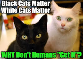 You can take any video, trim the best part, combine with other videos, add soundtrack. All Cats And Lives Matter Imgflip