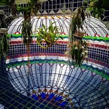 Vitral Reflejo Invernadero Orquideas Orquideario Jardinbotanico Chapultepec Cdmx Estoesmx Waterreflection Stain Jardin Botanico Invernadero Botanica