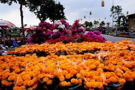 Thông thường, cookie được thiết lập để phản hồi các hành động của bạn trên trang, chẳng hạn như thiết lập tùy chọn quyền riêng tư, đăng nhập hoặc điền vào biểu mẫu. Chá»£ Hoa Xuan Binh Ä'iá»n 2020 Nhiá»u Sáº£n Pháº©m Hoa Kiá»ƒng Má»›i Láº¡ Ä'á»™c Ä'ao