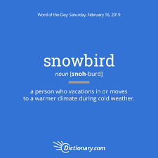 • snowbird (noun) the noun snowbird has 3 senses Word Of The Day Snowbird Dictionary Com