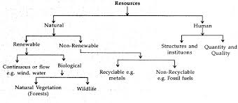 Define The Sustainable Development List The Principle Of Sustainable Development Cbse Class 10 Social Science Learn Cbse Forum