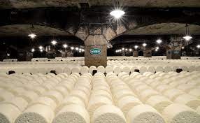 Vous êtes un·e passionné·e des produits du terroir, comme le fromage ? Visite Des Caves De Roquefort Societe Entreprise Et Decouverte