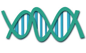 Oamenii de stiinta cerceteaza in continuare pentru ca nu au ajuns inca la toate raspunsurile, multe intrebari fiind inca enigme. EvoluluÈia Omului ContinuÄ Suntem In PlinÄ SelecÈie NaturalÄ