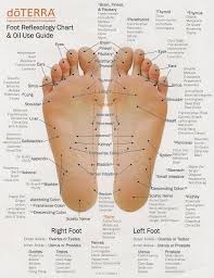 41 Prototypal Foot Reflexology Chart Stomach