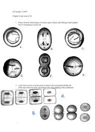 We did not find results for: Study Questions On Meiosis And Mitosis Laboratory Bio 1101 Docsity