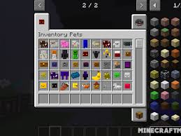 Minecraft is a game that lends itself to hundreds of hours of exploration and building. Inventory Pets Mod 1 17 1 1 16 5 1 12 2 Amazing Special Effects
