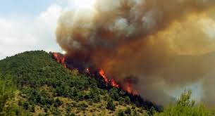 Νέα φωτιά τώρα κοντά στην πάτρα, μεγάλη κινητοποίηση της πυροσβεστικής. Twra Synagermos Sthn Pyrosbestikh Yphresia Gia Fwtia Sthn Perioxh Myrtos Sth Dytikh Axaia Tempo24 News