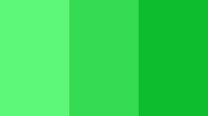 Facetime App Icon 2017 Color Scheme Green Schemecolor Com