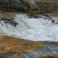 Wenatchee River Salmon Festival @ Rocky Reach Discovery Center