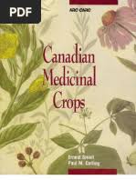 Image result for Kotschya prittwitzii