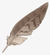 See more ideas about eagles, eagle feathers, eagle. Eagle Feather Png Images Transparent Eagle Feather Image Download Pngitem
