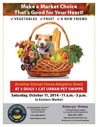 Luxury dog and cat boarding, dog training, and daycare | temple, tx. Almost Home Animals Almosthomemi Twitter