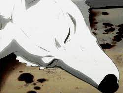 White wolf other anime background wallpapers on desktop. Gif Wolfs Rain White Wolf Hige Animated Gif On Gifer By Ket