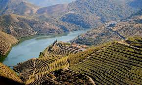 Arcozelo vng avintes canelas vng crestuma grijo vng lever olival vng pedroso perosinho sandim sao felix da marinha seixezelo sermonde serzedo vng. Vila Nova De Gaia Portugal Tourismus In Vila Nova De Gaia Tripadvisor