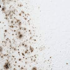 Plain white vinegar is a mild acid, it kills mold and mildew and makes the environment less hospitable for further growth. How To Get Rid Of Mold On Bathroom Walls Family Handyman