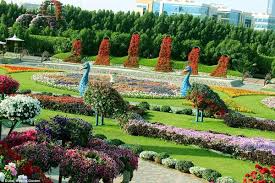 Ini 7 taman bunga terindah di dunia. Taman Bunga Terindah Di Dunia Ternyata Ada Di Padang Pasir Timur Tengah Lifestyle Fimela Com