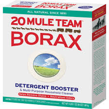 Place the ingredients in a small glass jar and shake to mix. Using 20 Mule Team Borax To Kill Ants