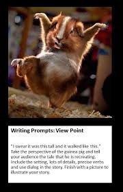 Writing Prompt Perspective Funny Animals Animals Picture Writing Prompts