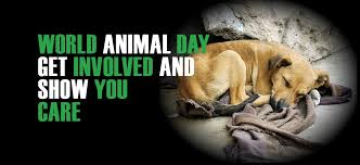 The observance commemorates the happiness and enjoyment that pets bring to. World Animal Day 4 October