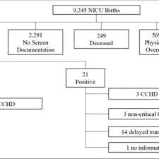 Nicu Cchd Screening Outcomes Download Scientific Diagram