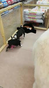 Service gratuit2,99€ / appel + prix appel. Bricomarche Accueil Facebook