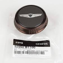 Amazon.com: HYUNDAI Genuine OEM Genesis Wheel Center Cap G80 2017-2019 :  Automotive