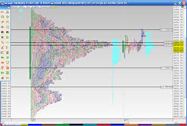 Market Profile Charts Reference Points