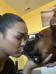 Traveling with a rambunctious boxer in the car