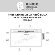 Las elecciones primarias y los caucus son los dos métodos que los estados utilizan para seleccionar a un potencial candidato presidencial. Mk69w0ocnalzsm