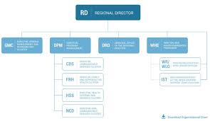 Organizational Structure Who Regional Office For Africa