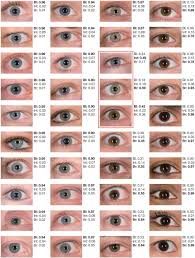 Forty Shades Of Blue In 2019 Eye Color Chart Genetics