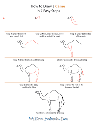 Camels have long necks, so do not put your head too close to your body. Pin On How To Draw
