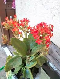 Profile for Anne Bartolome