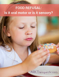 Pocket food additives | пищевые добавки. Food Refusal Is It Oral Motor Or Sensory Related Ark Therapeutic