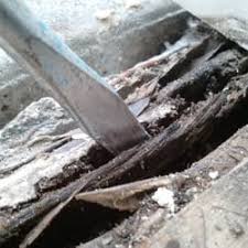 Our work speaks for itself—just ask our san diego neighbors! Thrasher Termite Pest Control Of So Cal 59 Photos 671 Reviews Pest Control San Diego Ca Phone Number