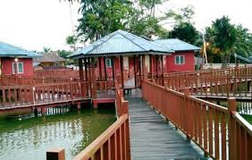 The best time to visit the park is after nightfall at approximately 7:30pm to 7:45pm. Firefly Park Resort Kuala Selangor Ticket Price Timings Address Triphobo