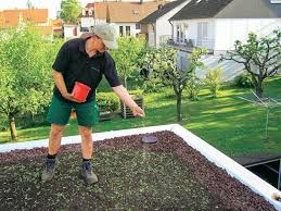 Dachbegrunung Anlage Pflege Und Kosten In 2020 Dachbegrunung Flachdach Begrunung Dach