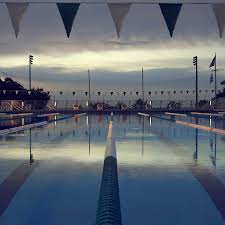It S A New Dawn It S A New Day It S A Swim Life Loveswimming Sunrise Swimming Swim Speedo Loca Swimming Photography Swim Life Competitive Swimming