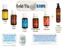 Lihat ide lainnya tentang resep, cemilan, makanan. Khasiat Ampuh Young Living Untuk Flu Batuk Dan Pilek