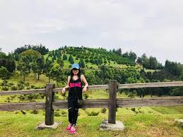 Sementara menurut kbbi, cuti memiliki arti meninggalkan pekerjaan. Meditation Travel Movies And How Rmco Changed Me A Girl Named Clara