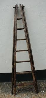 Fruitwood Orchard Ladders C1900 164843 Sellingantiques Co Uk Ladder Ladder Decor Old Wooden Ladders
