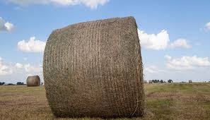 Weve Got A Bale Weight Problem Hay And Forage Magazine