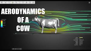 We did not find results for: Aerodynamics Of A Cow Youtube